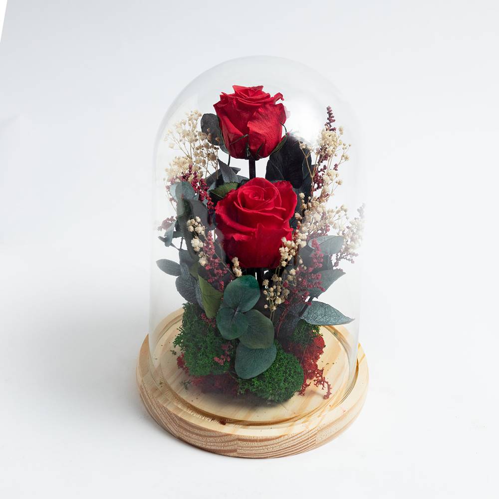 Cúpula de cristal con 2 rosas preservadas