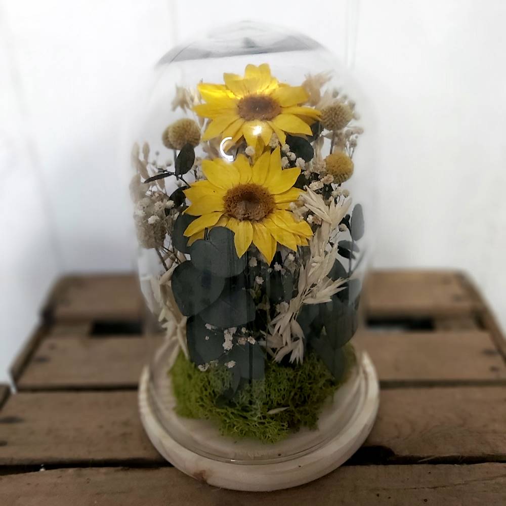 Girasoles en cúpula