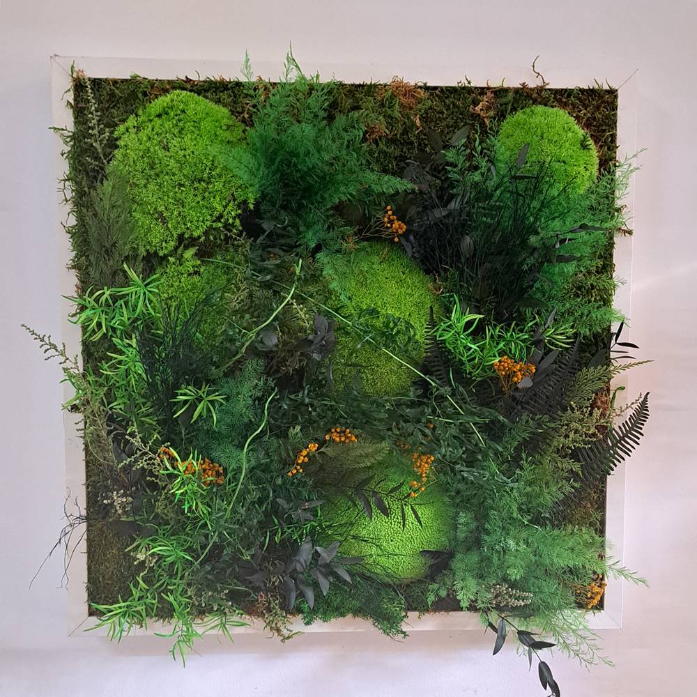 Jardín vertical con flores preservadas 50×50