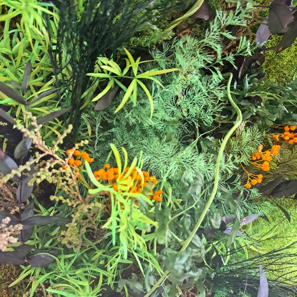 Jardín vertical con flores preservadas 50x50 - Imagen 5