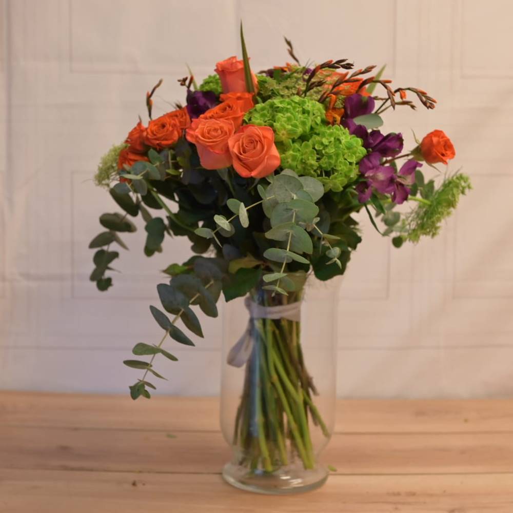 Ramo Alaia - Imagen 3