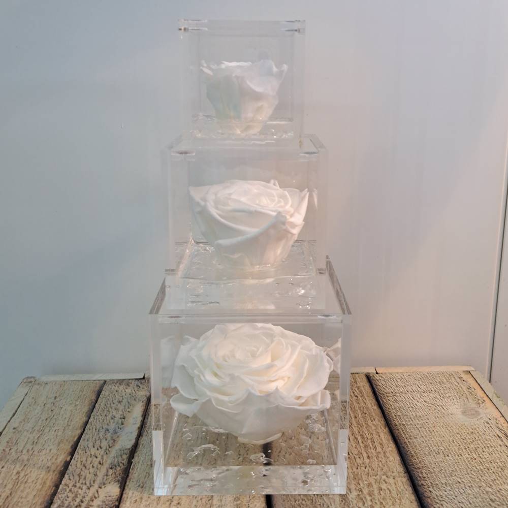 Flowercube rosa estabilizada perfumada - Imagen 18