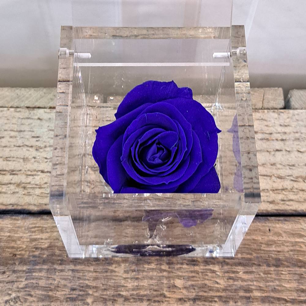 Flowercube rosa estabilizada perfumada - Imagen 12