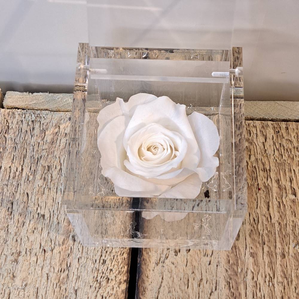 Flowercube rosa estabilizada perfumada - Imagen 13