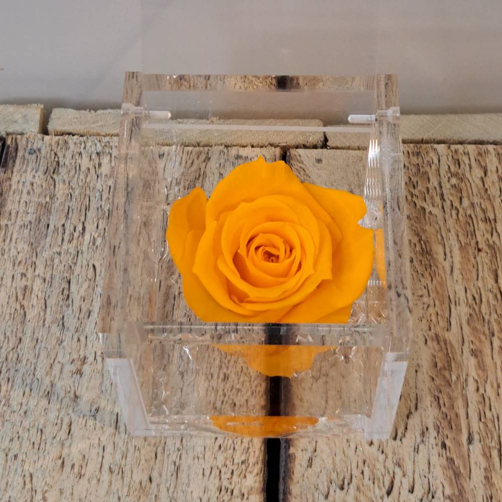 Flowercube rosa estabilizada perfumada - Imagen 15