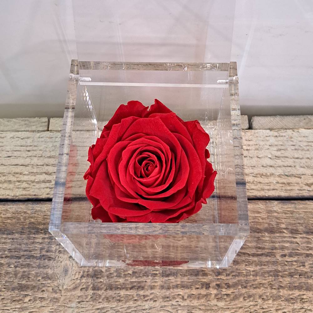 Flowercube rosa estabilizada perfumada