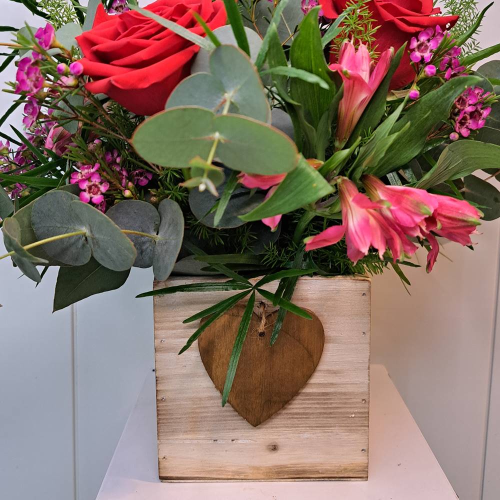 Centro Amore - Imagen 6