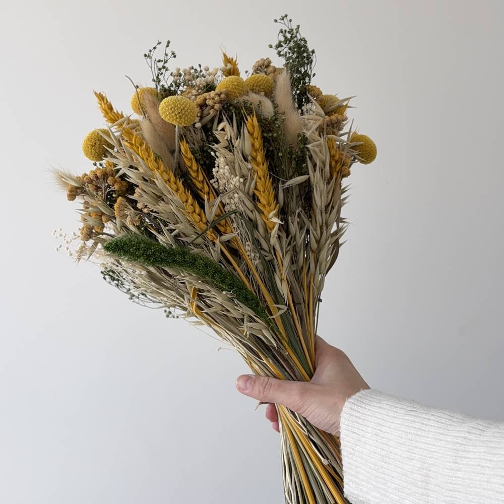 Ramo Ziape - Imagen 3