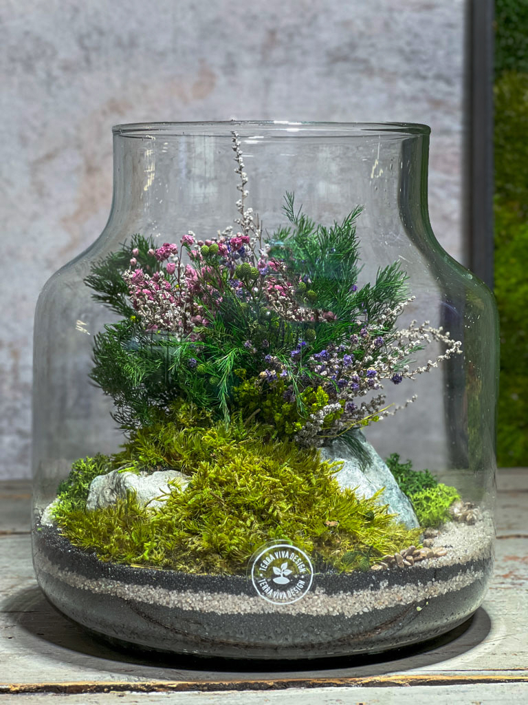 Terrario Evergreen Gigi - Imagen 3