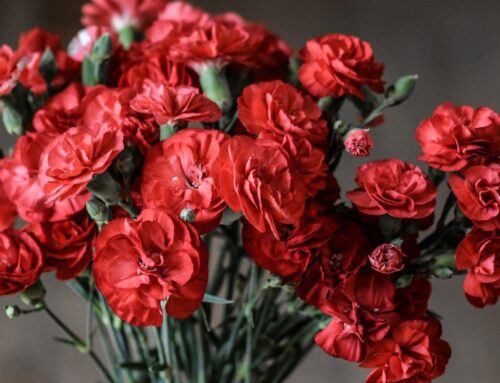 Simbolismo especial: el clavel y el azahar en la tradición española