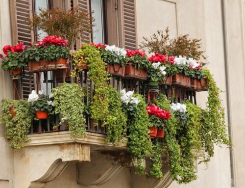 Flores de otoño para balcones soleados: color y resistencia